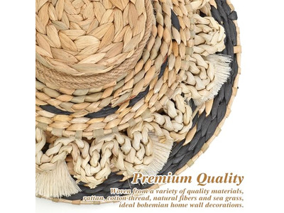 ديكور جنوبي غربي للمنزل معلق جداري استوائي مجموعة من قطعتين فنية